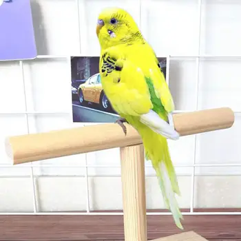 Odolné Papagáj Rack Bezpečné, Ľahko sa Čistí Prenosné Dreva Tréning Ihrisko Platformu Hračka