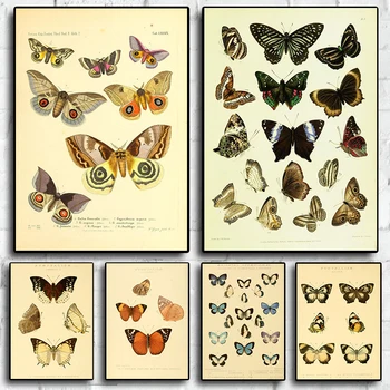 Náčrt Motýľ Hmyzu Vintage Plátno Plagát Estetiky V Štýle Art Domov Stenu Roztomilý Kreslený Dekorácie Obývacia Spálňa Obrázok