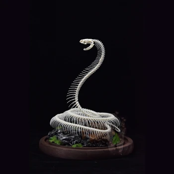 2014 Pôvodné Had Kosti Plochu Kostí Ornament Gotickom Štýle Kosť Vzor Umenie Zvierat Dekorácie Darček K Narodeninám Tvorivosti