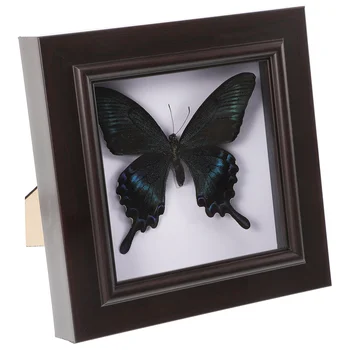Simulované Motýľ Vzor Ručné Vzácne A Nádherné Exempláre Dekor Stene Visí Vzor Pre Vzdelávanie Zber Rese