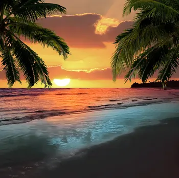 Tropické more, Pláže, Palmy západ Slnka tichom pozadia Vinyl tkaniny Vysokej kvality Počítač tlač strán fotografie zázemia